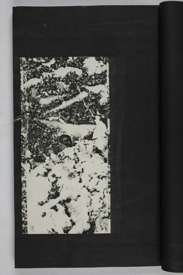 蕭秀東碑額及西碑陰_