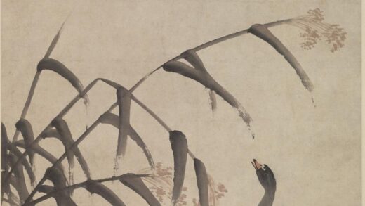 薛怀 芦雁图轴.jpg