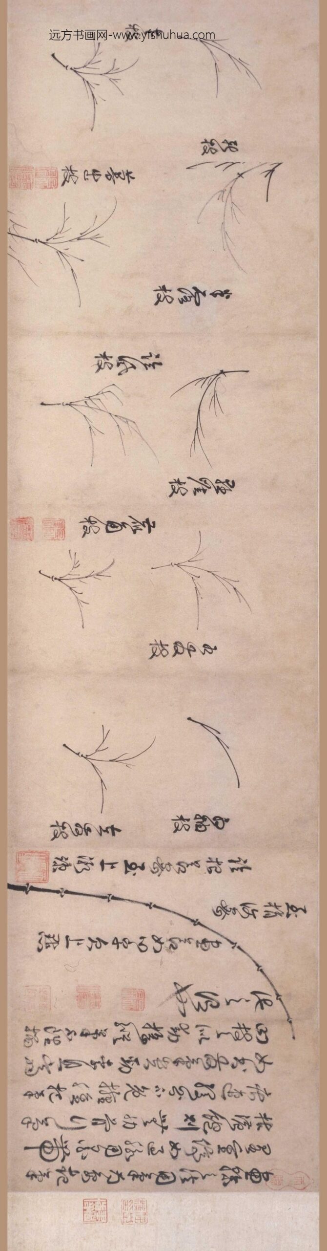 詹景凤_竹谱卷_