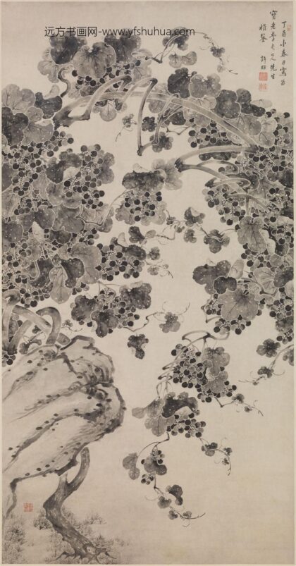 许昉 葡萄图轴.jpg