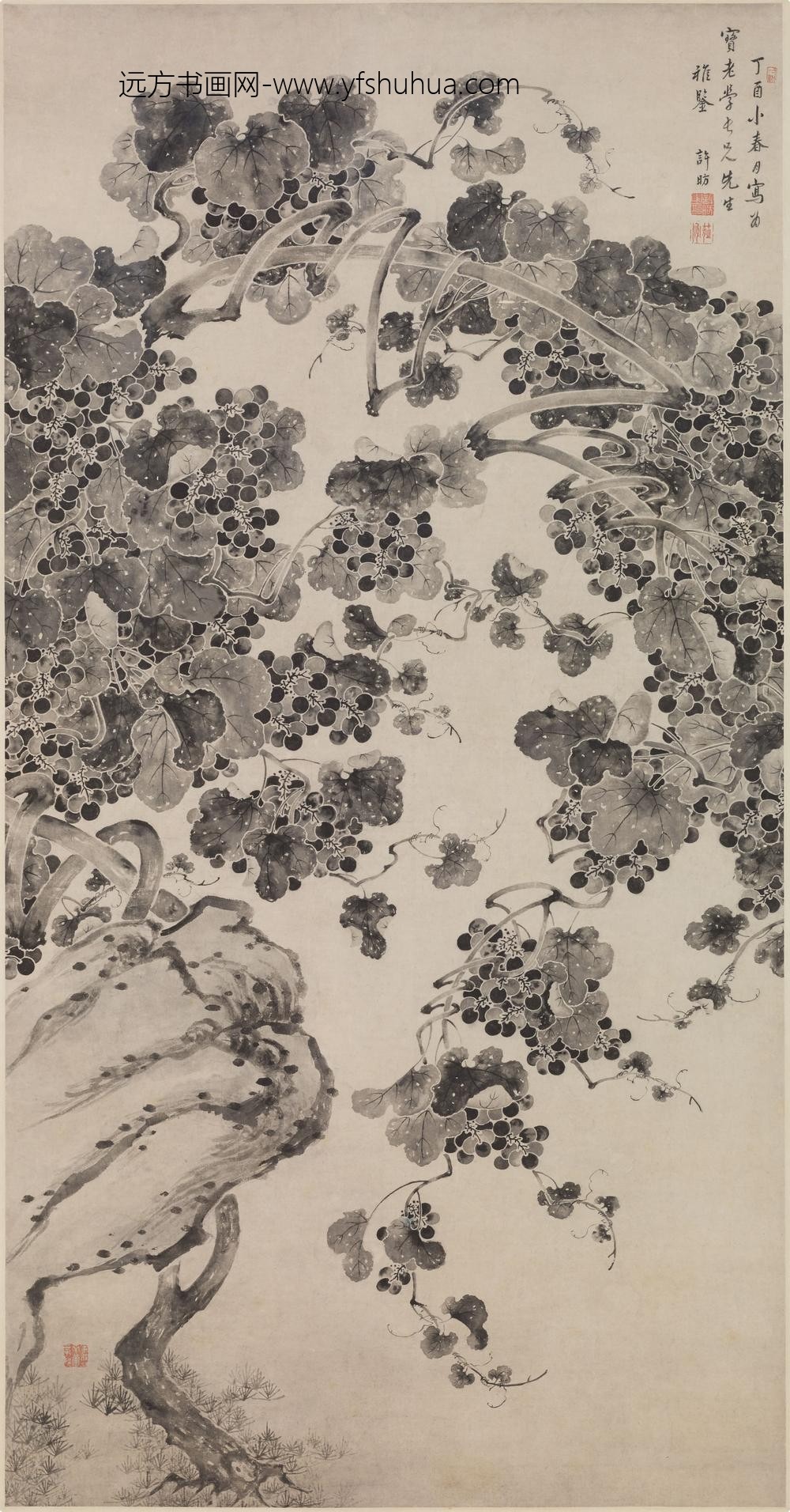 许昉_葡萄图轴