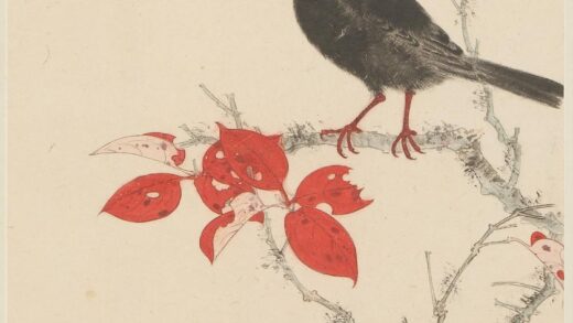 谢稚柳 红树鹦鹉图轴.jpg