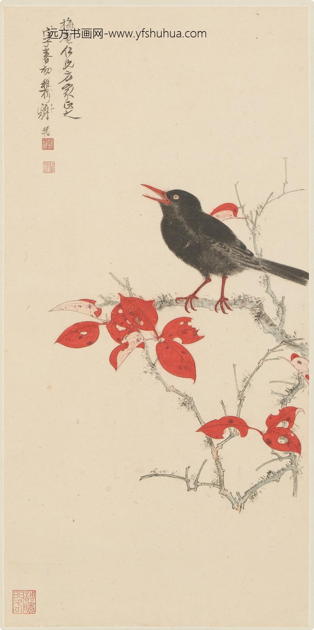 谢稚柳_红树鹦鹉图轴