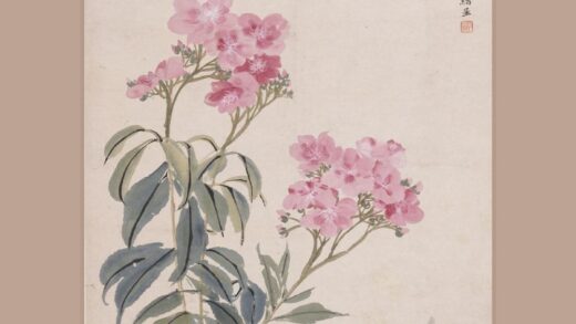 赵之谦 夹竹桃图轴.jpg