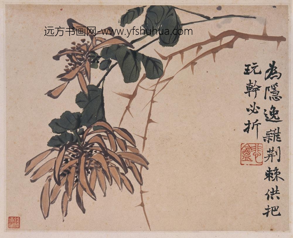 赵之谦_花卉图册（十二开）_