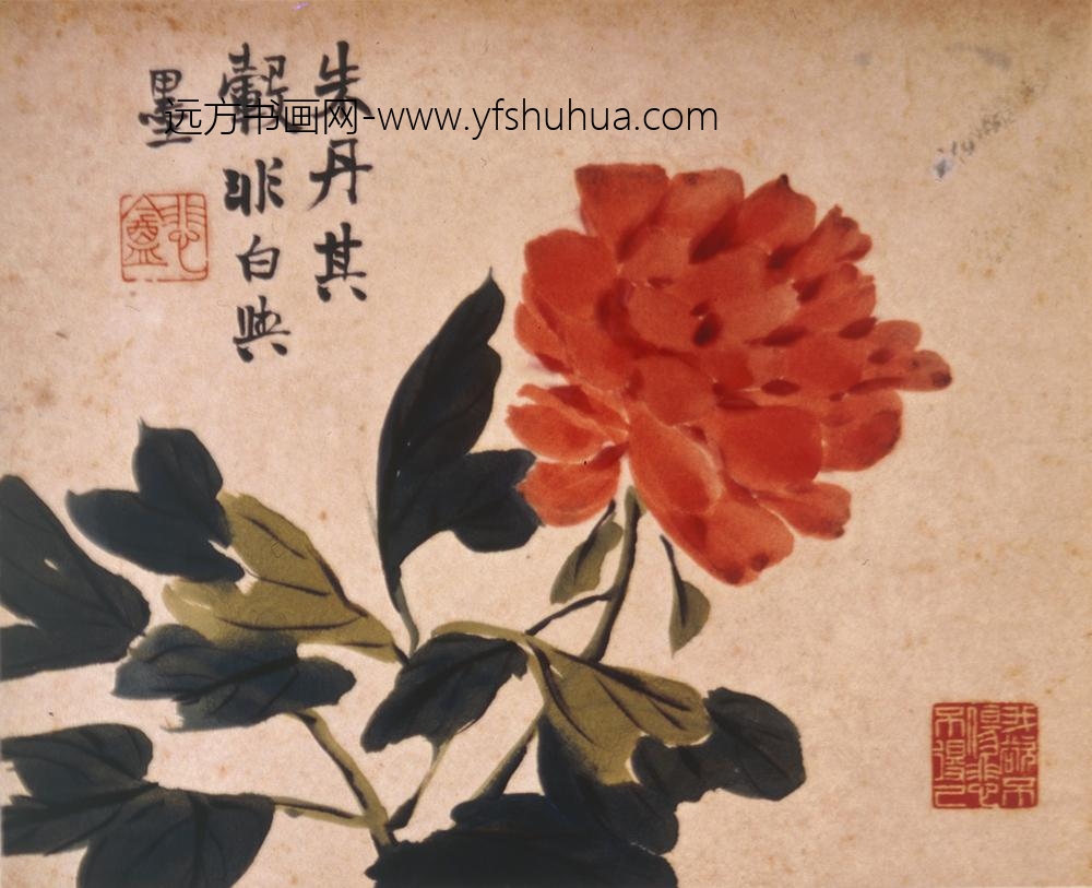 赵之谦_花卉图册（十二开）_