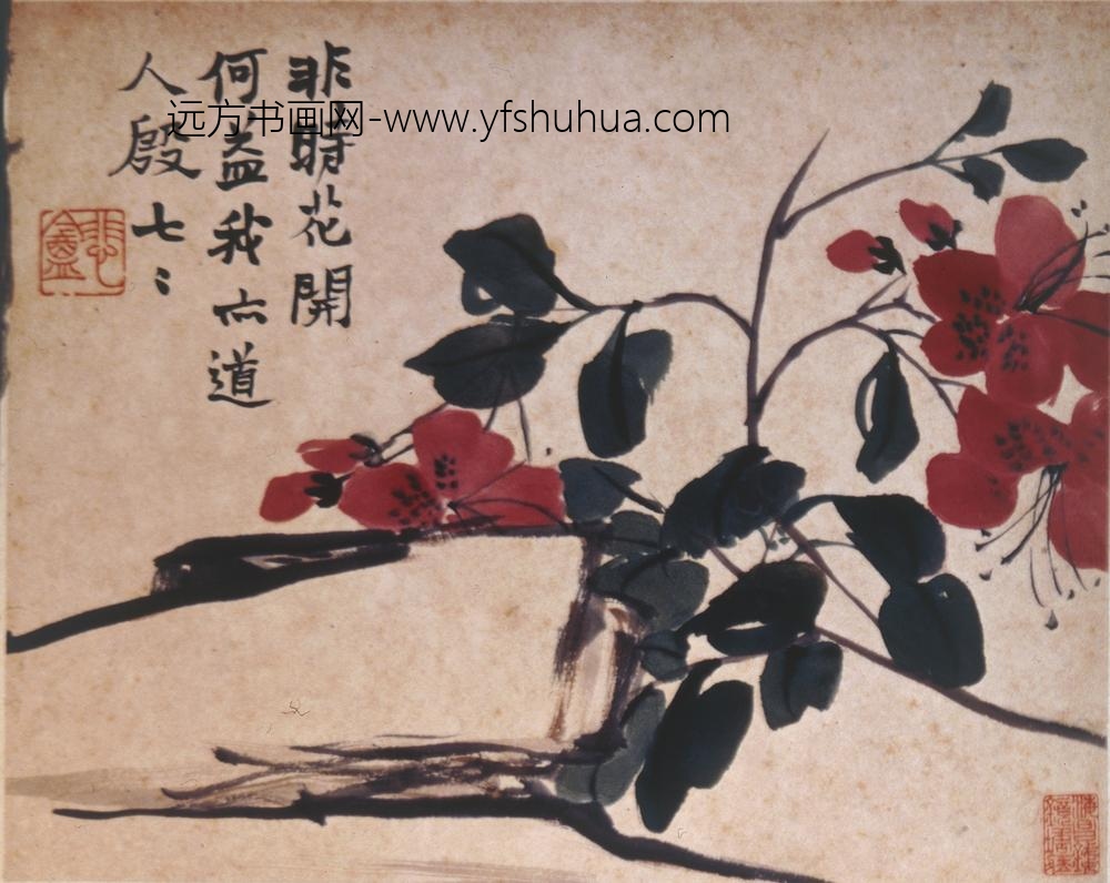 赵之谦_花卉图册（十二开）_