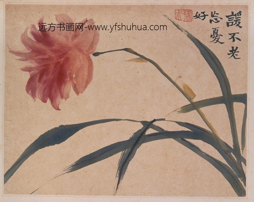 赵之谦_花卉图册（十二开）_