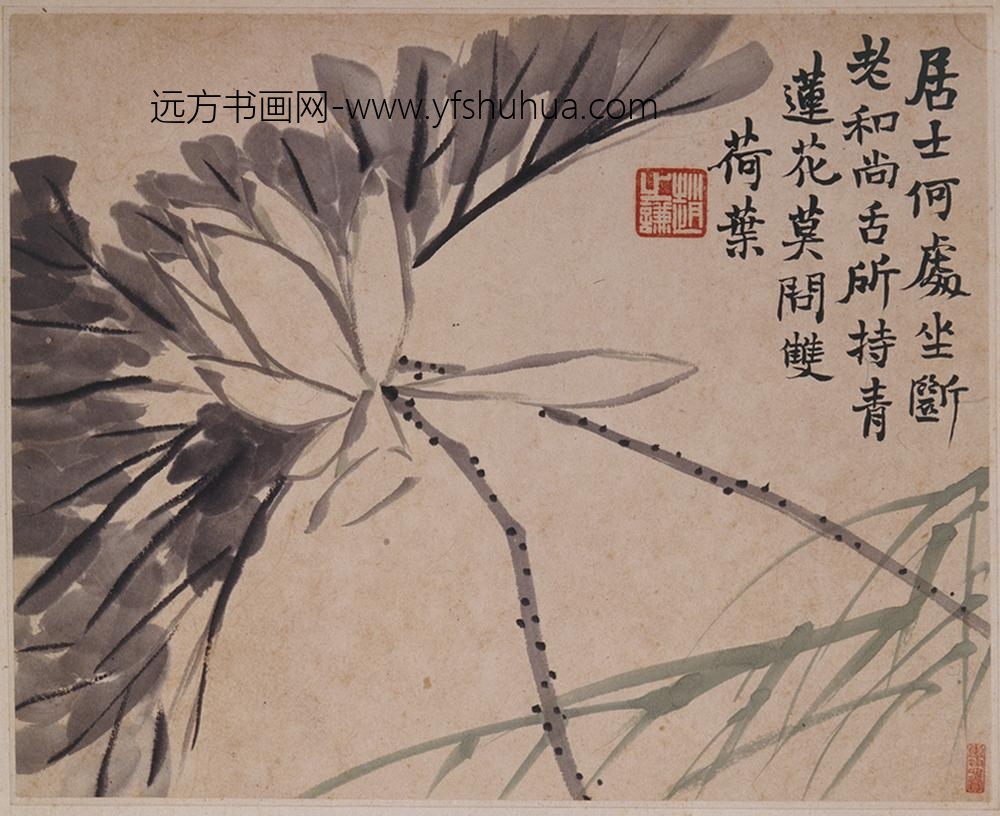 赵之谦_花卉图册（十二开）_