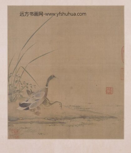 赵伯骕 双凫图页.jpg