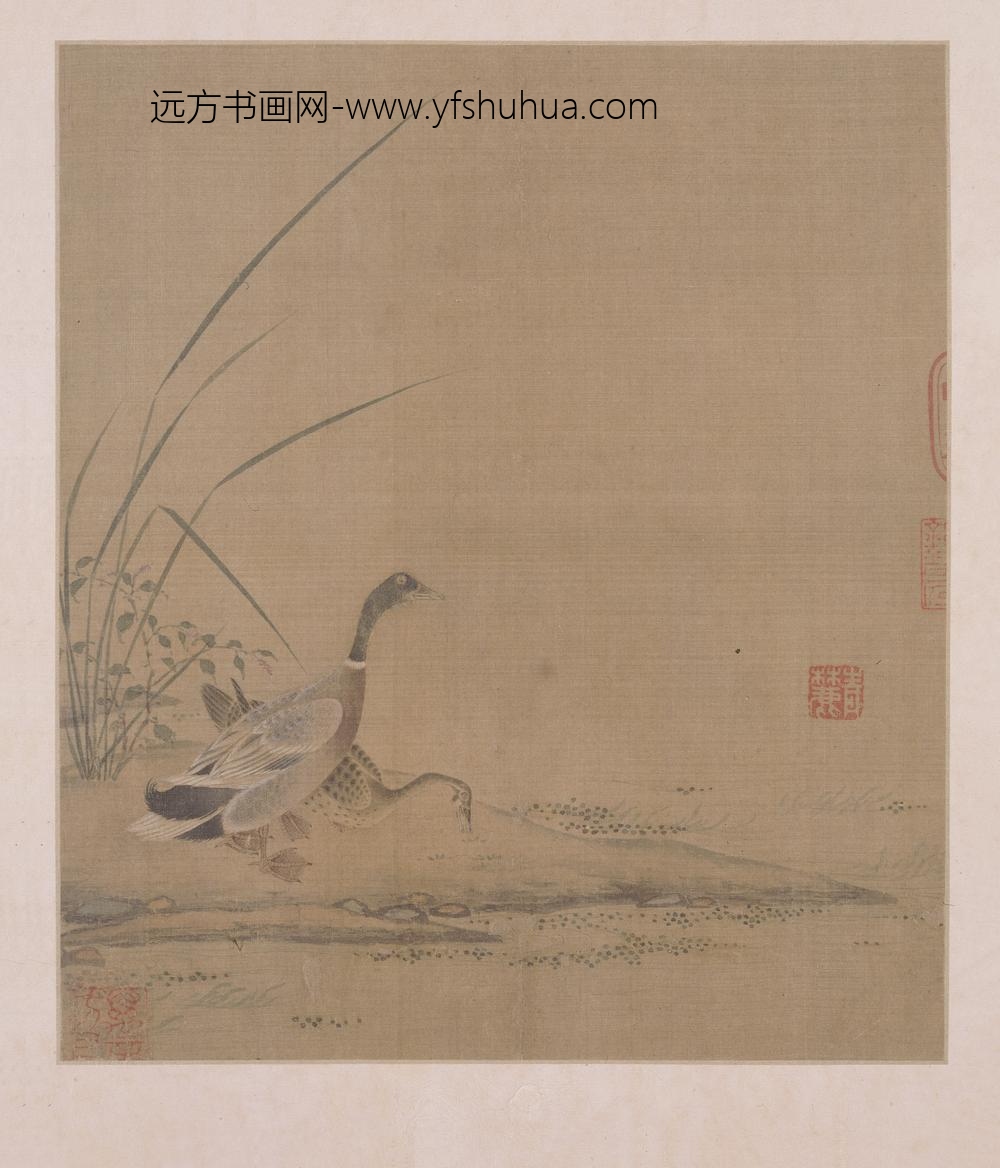 赵伯骕_双凫图页