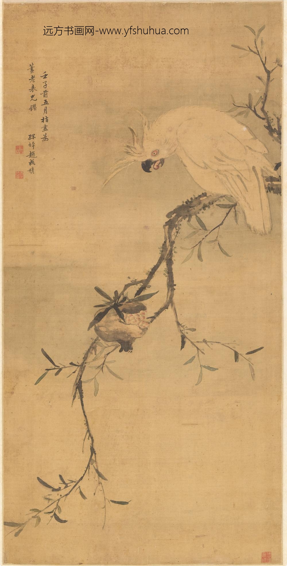 赵成穆_鹦鹉石榴图轴