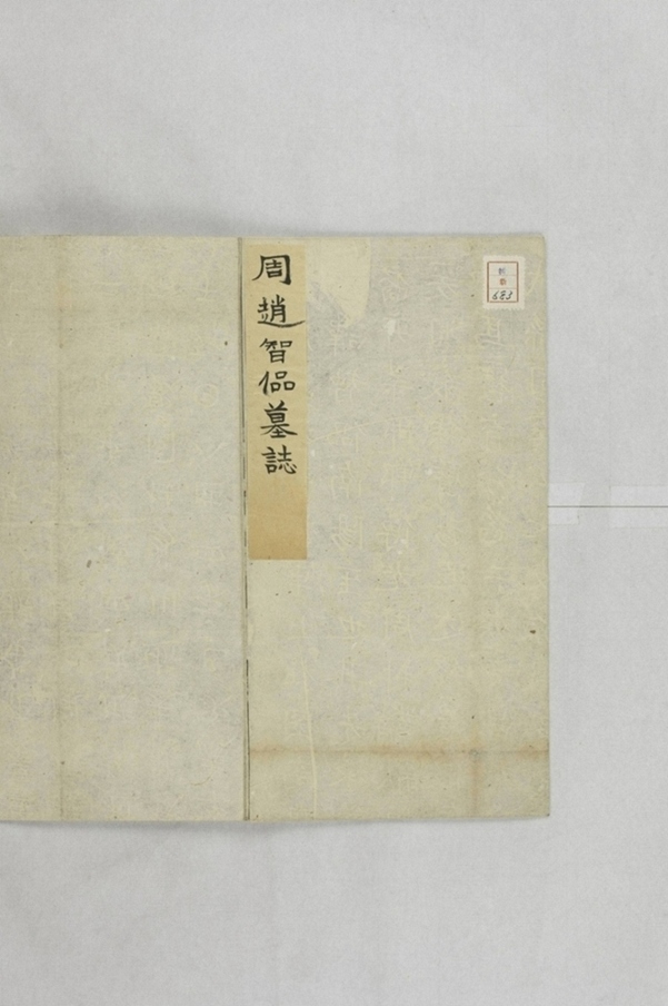 趙智偘及妻宗氏墓誌_