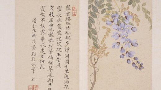 邹一桂 写生花卉图册.jpg