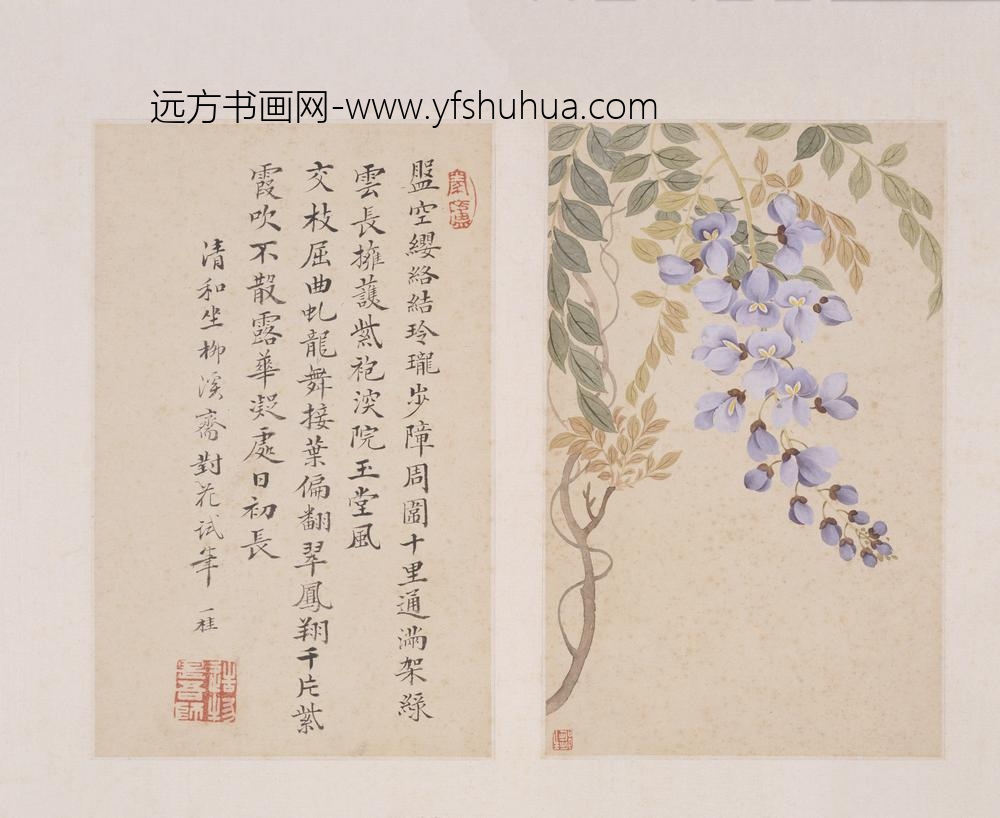 邹一桂_写生花卉图册