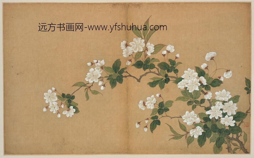 邹一桂_白海棠图册