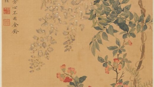 邹一桂 花卉图轴.jpg