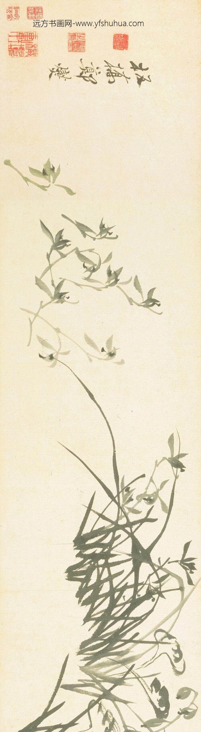 郑板桥（郑燮）_兰花竹石图卷_