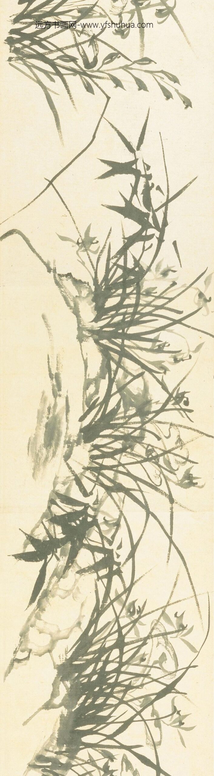 郑板桥（郑燮）_兰花竹石图卷_