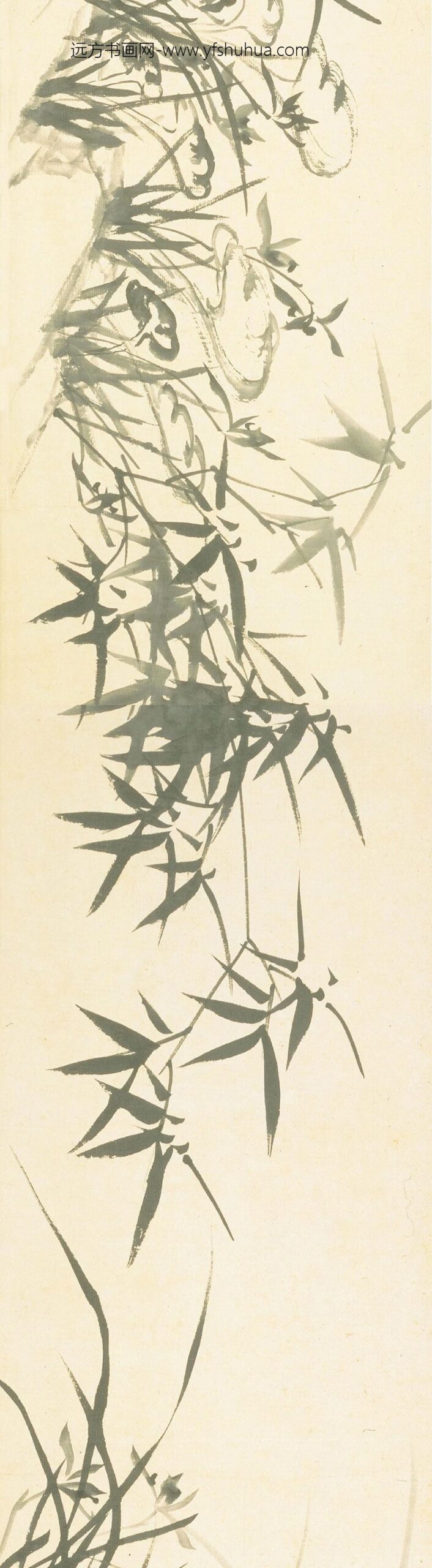 郑板桥（郑燮）_兰花竹石图卷_