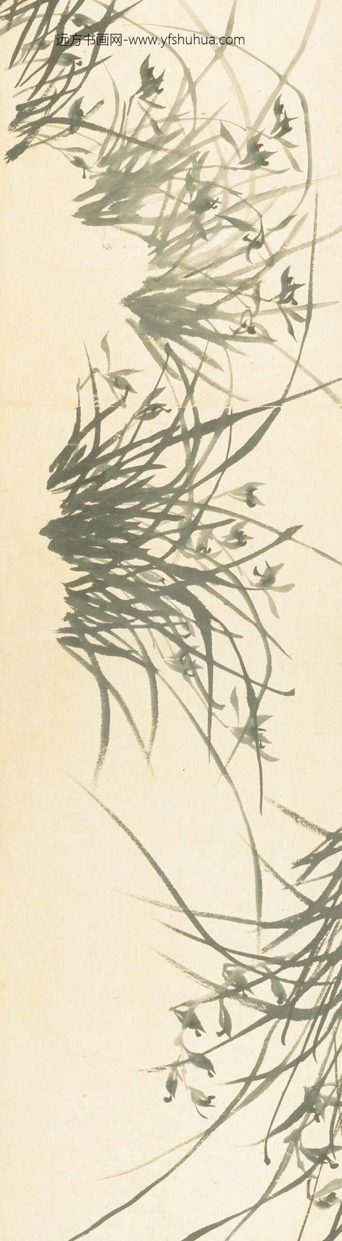 郑板桥（郑燮）_兰花竹石图卷_