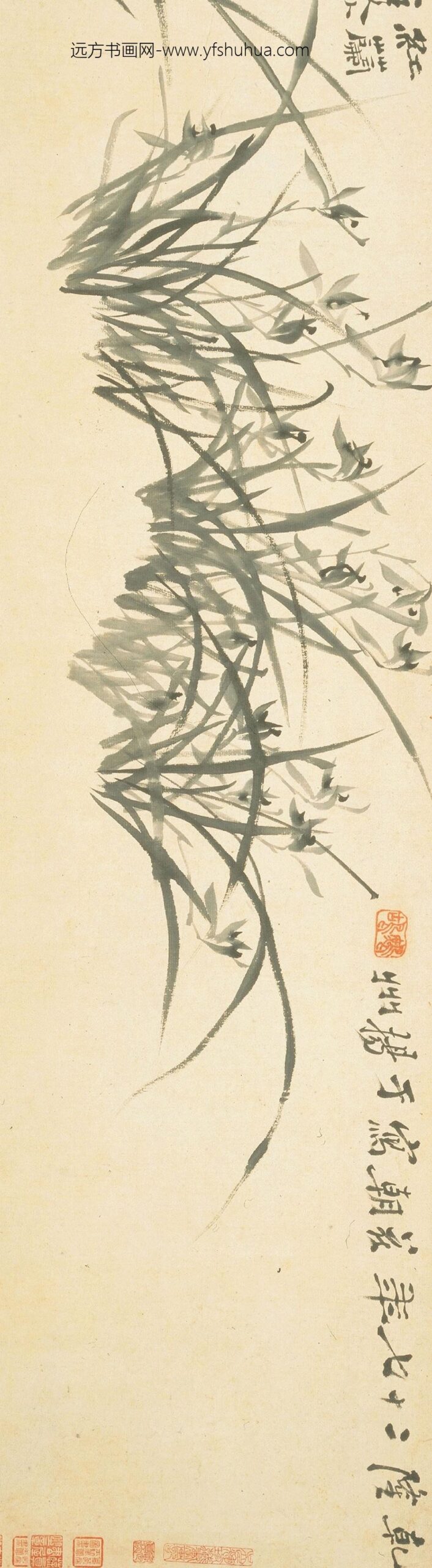 郑板桥（郑燮）_兰花竹石图卷_