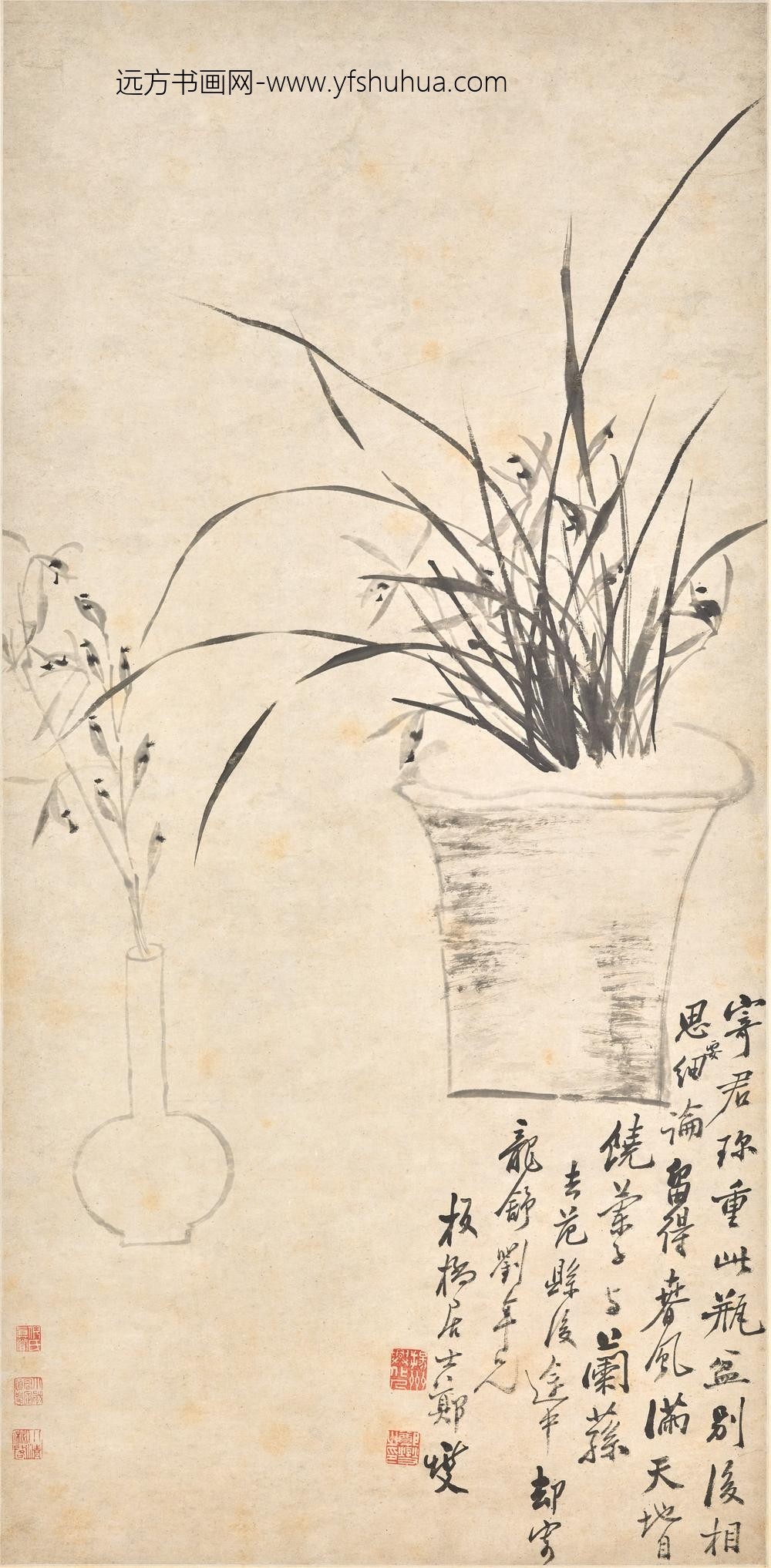 郑板桥（郑燮）_盆兰图轴