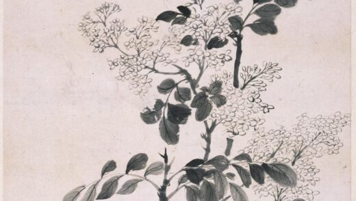 钱载 丁香图轴.jpg