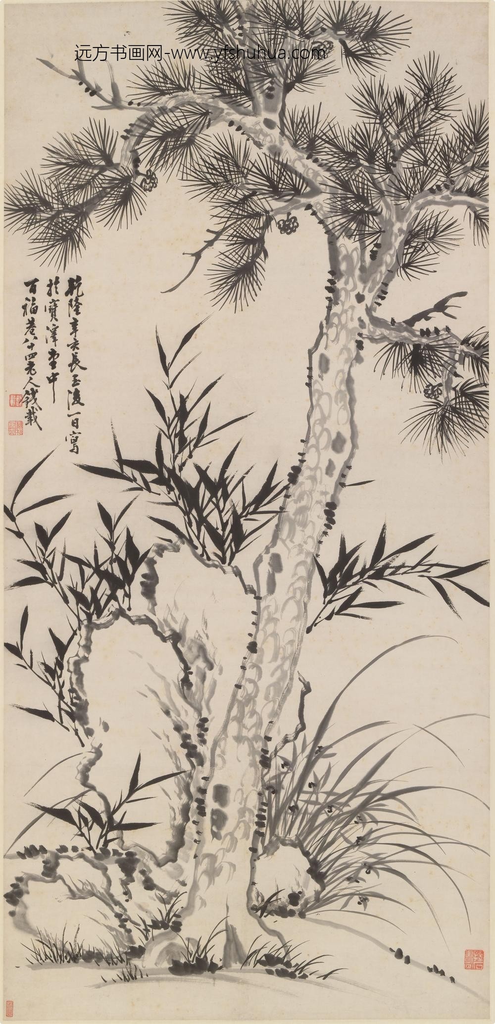 钱载_松竹兰石图轴