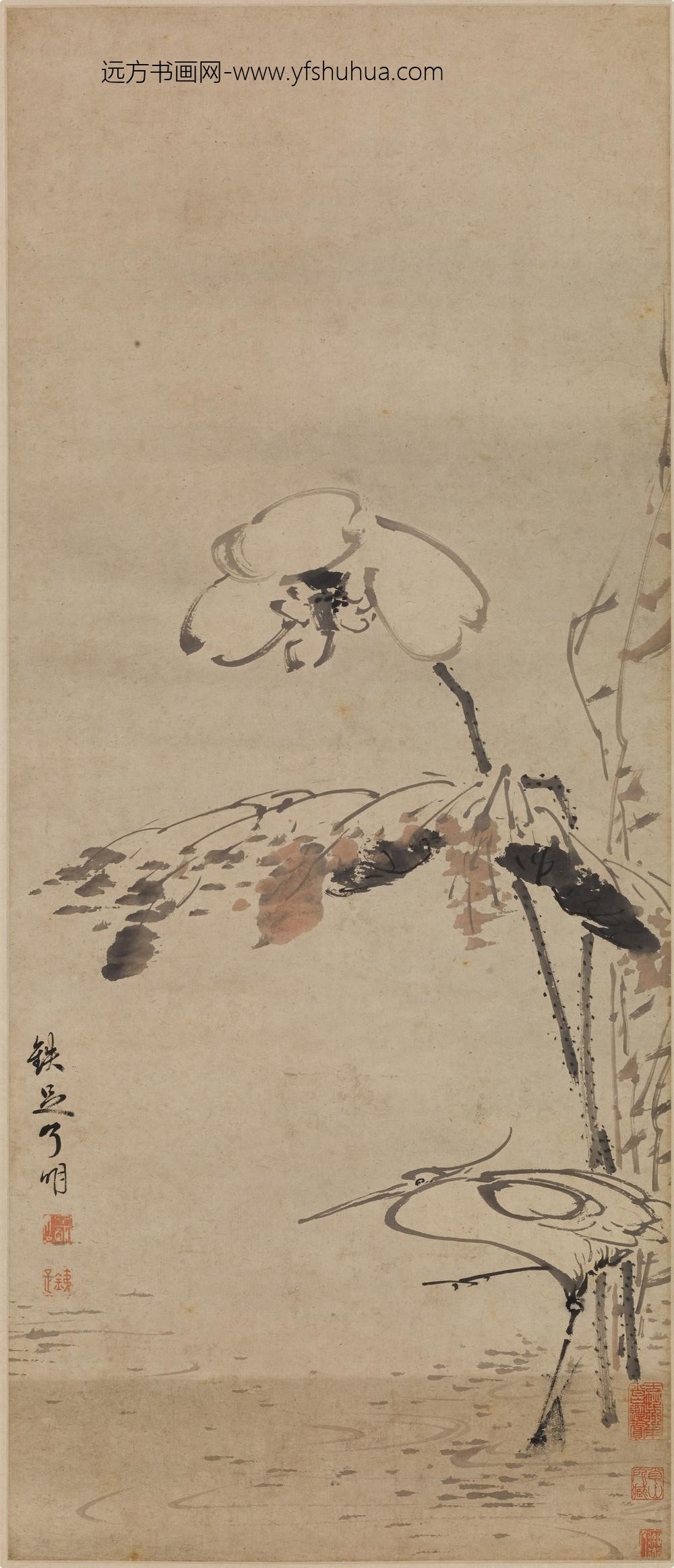 铁足（了明）_荷花鹭鸶图轴