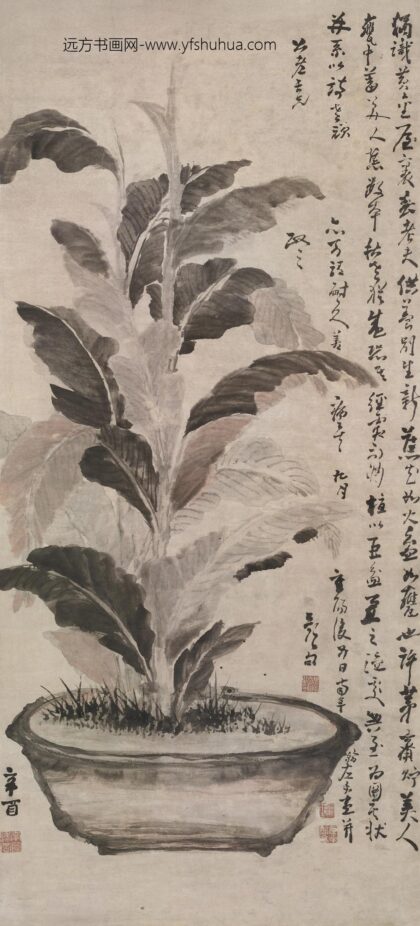 高凤翰 《美人蕉图》轴 纸本设色 纵 130cm 横 59cm.jpg