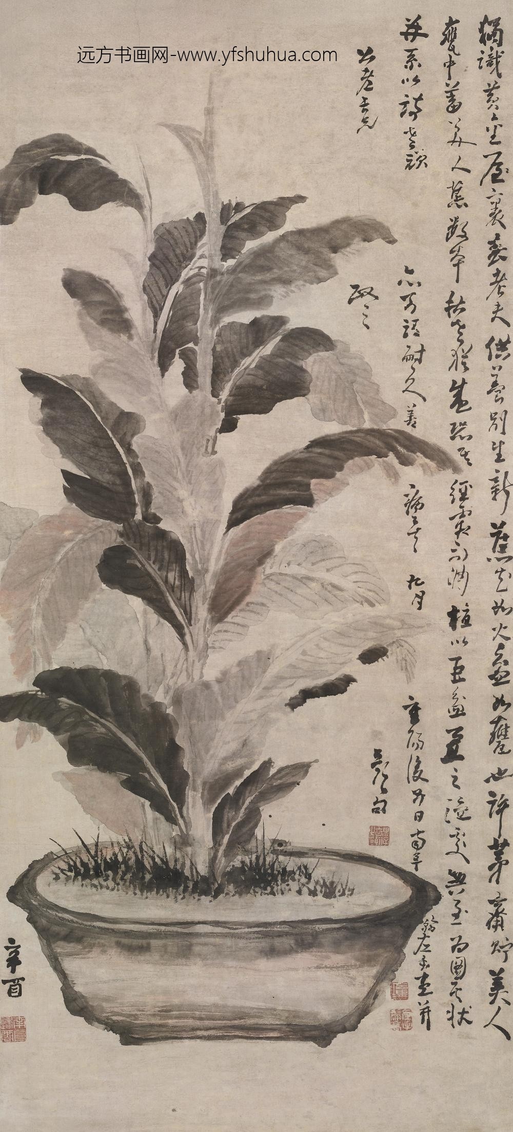 高凤翰-《美人蕉图》轴-纸本设色-纵-cm-横-cm