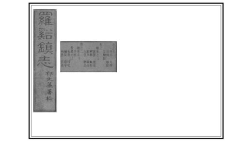 00524 罗店镇志 0.jpg