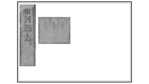 01977 新河县志 0.jpg