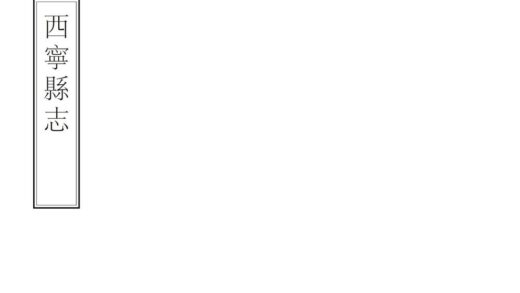 02232 西宁县志 0.jpg