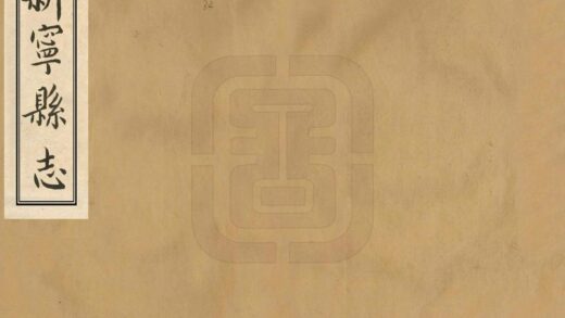 06088 新宁县志 0.jpg