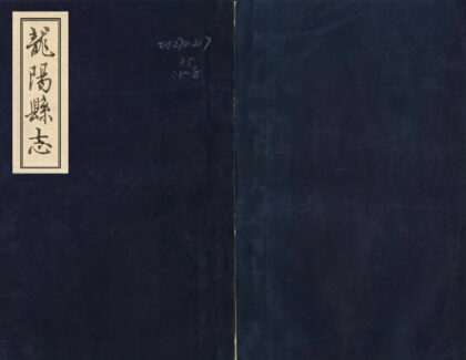 06136 龙阳县志 0.jpg