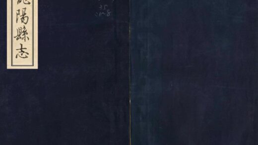 06136 龙阳县志 0.jpg