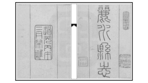 06224 丽水县志 0.jpg