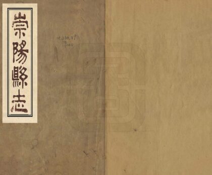 06571 崇阳县志 0.jpg