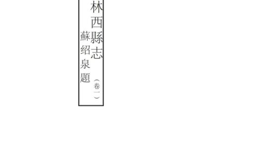 08514 林西县志 0.jpg