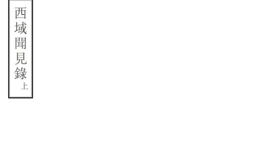 08562 西域闻见录 0.jpg