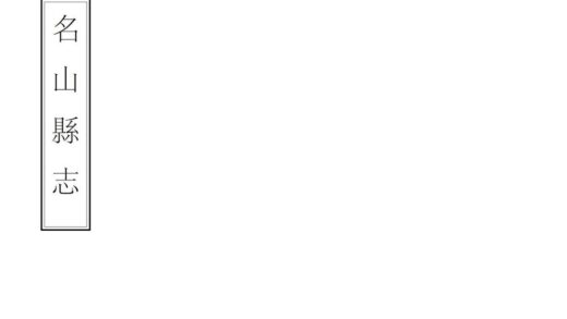 08651 名山县志 0.jpg