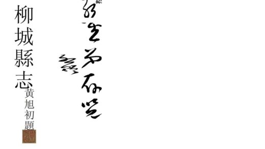 08788 柳城县志 0.jpg