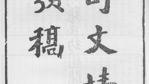 10305 舒文靖公类稿 0.jpg