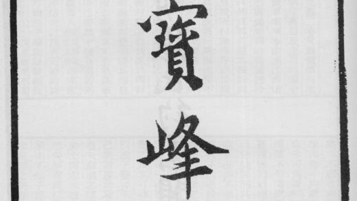 10373 赵宝峰集 0.jpg