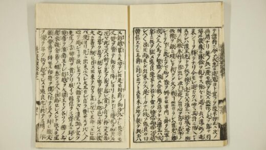 5989 通俗汉楚军谈卷11下 0622023438 1.jpg