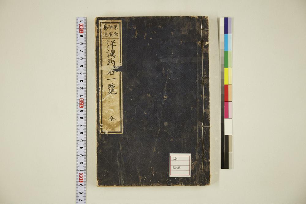 _洋汉病名一览__