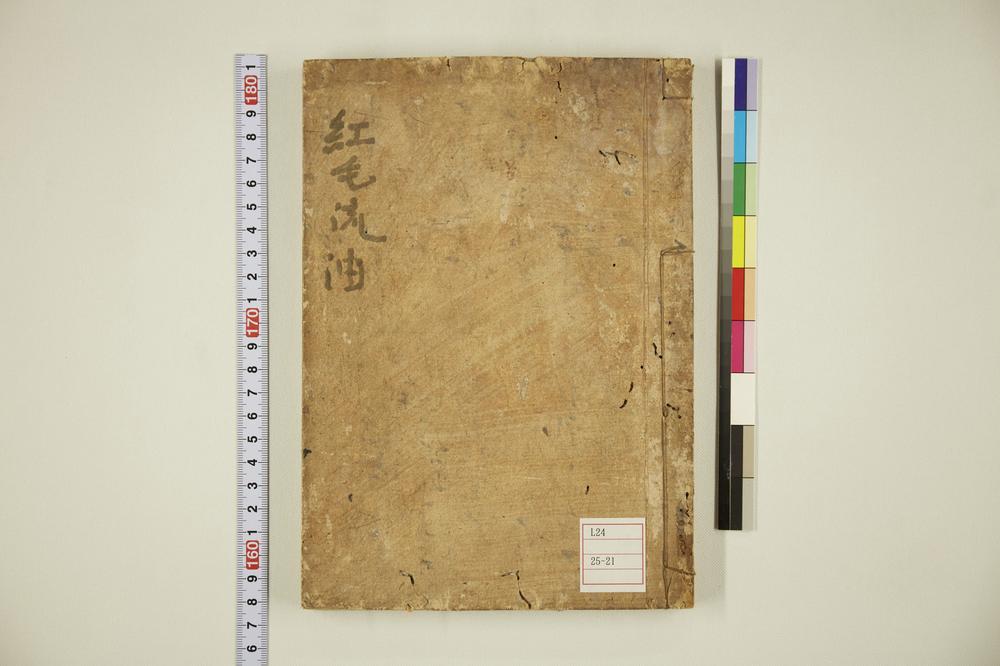 _红毛流油水薬之秘书__