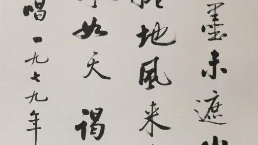 启功 行书苏东坡诗句轴.jpg